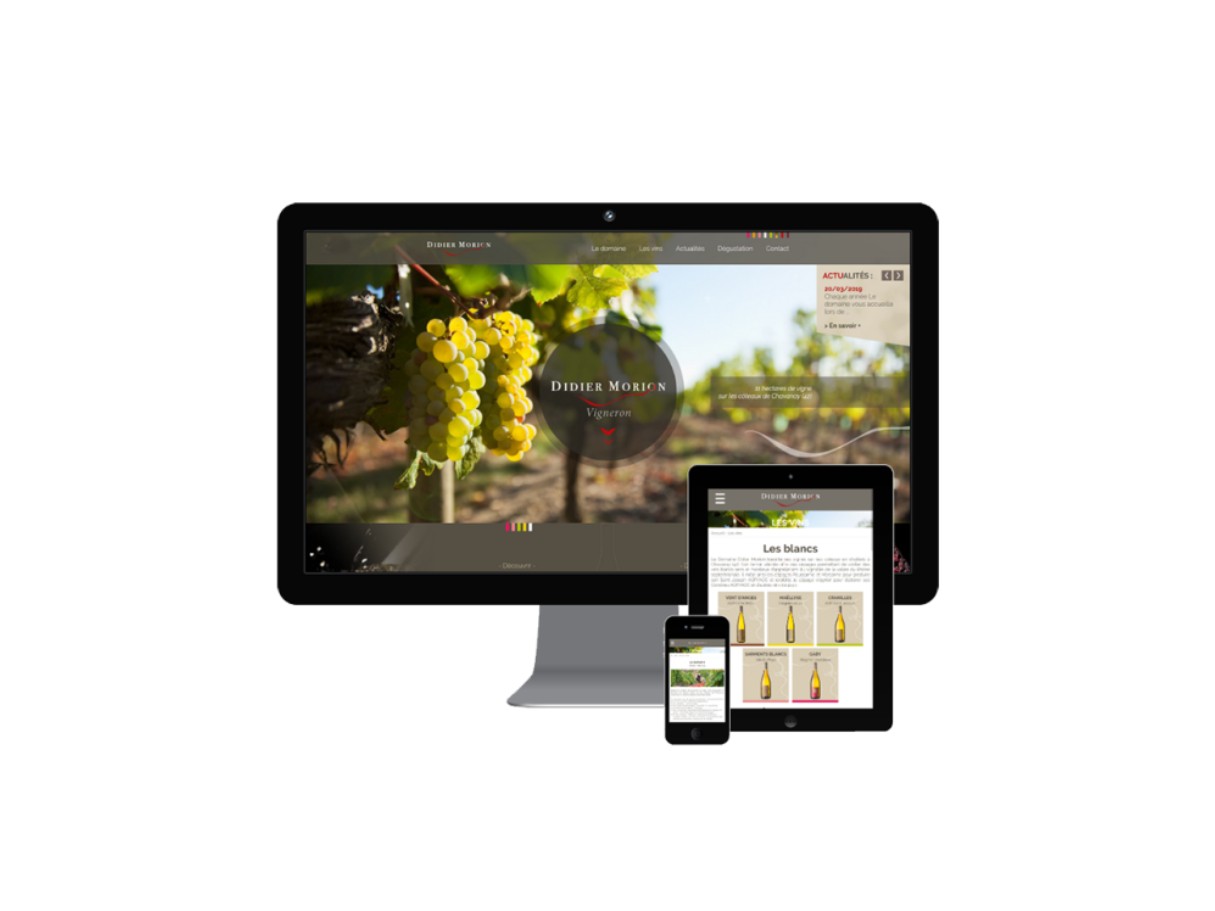 Site internet responsive domaine morion